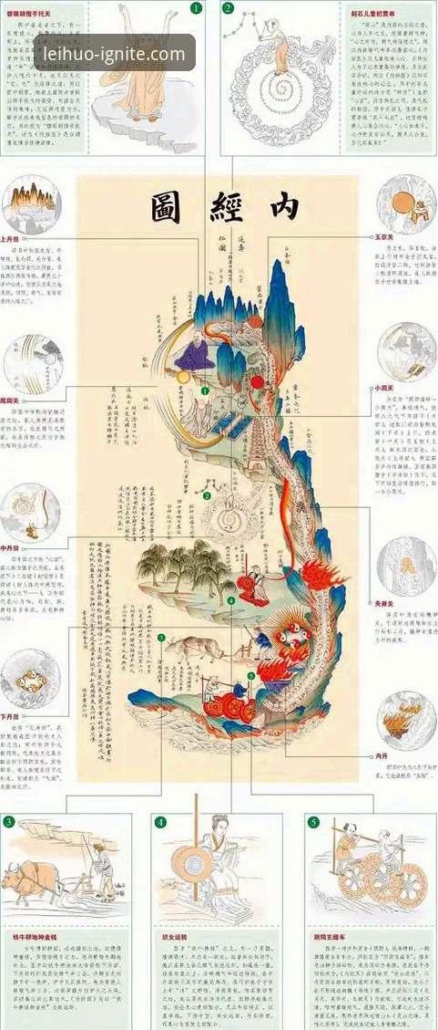 5个关键维度解析雷火电竞玩法：从新手到高手的完整指南